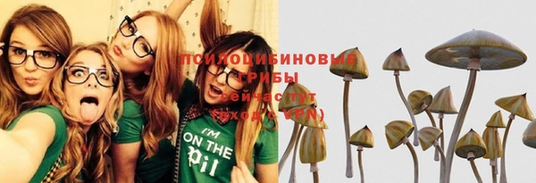 скорость Лиски