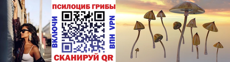 Галлюциногенные грибы Magic Shrooms  Малгобек 